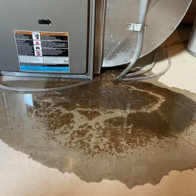 Appliance Leak Cleanup in Byron Center, MI