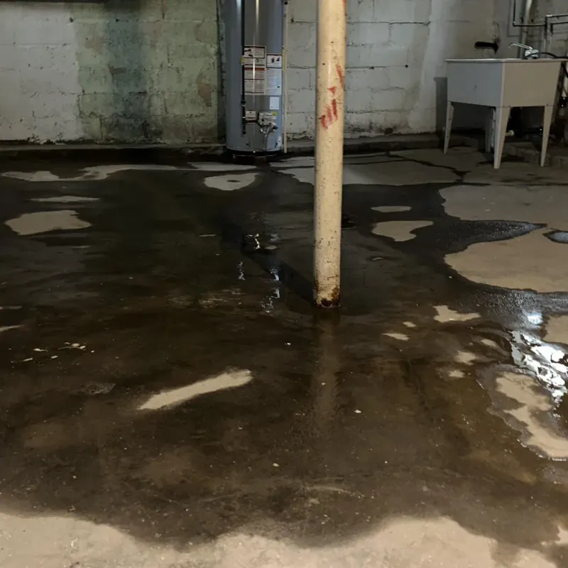 Emergency Water Extraction And Removal in Byron Center, MI